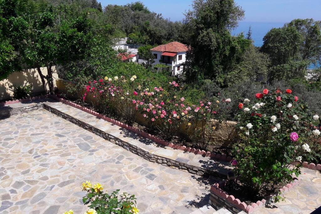 Eleni'S House Chorefto Zagora Dış mekan fotoğraf