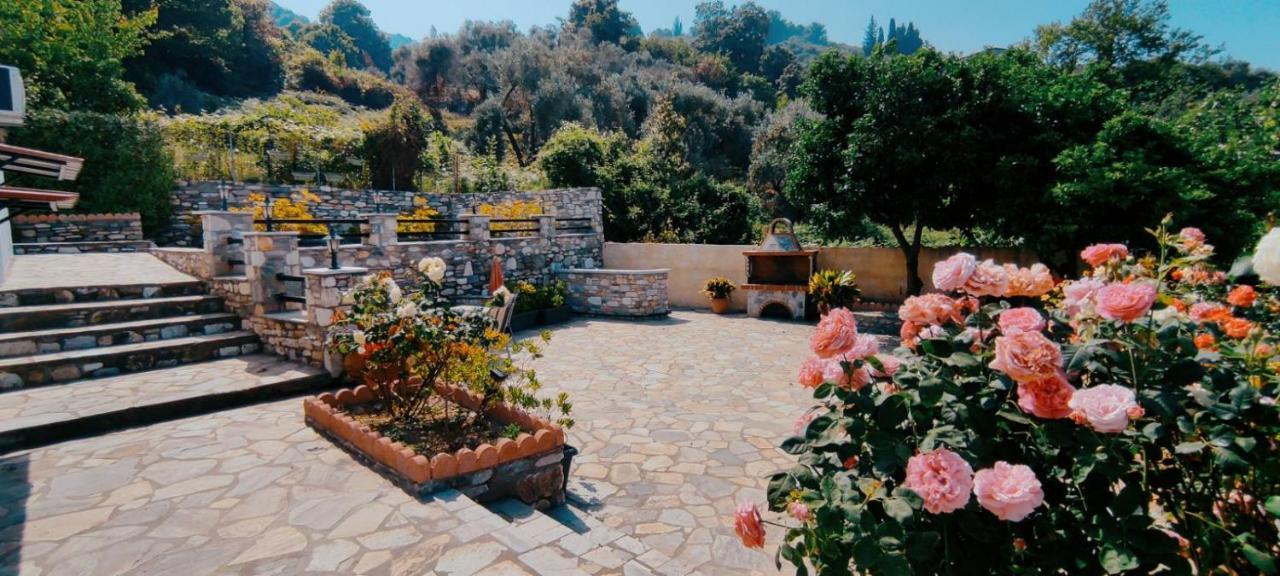 Eleni'S House Chorefto Zagora Dış mekan fotoğraf